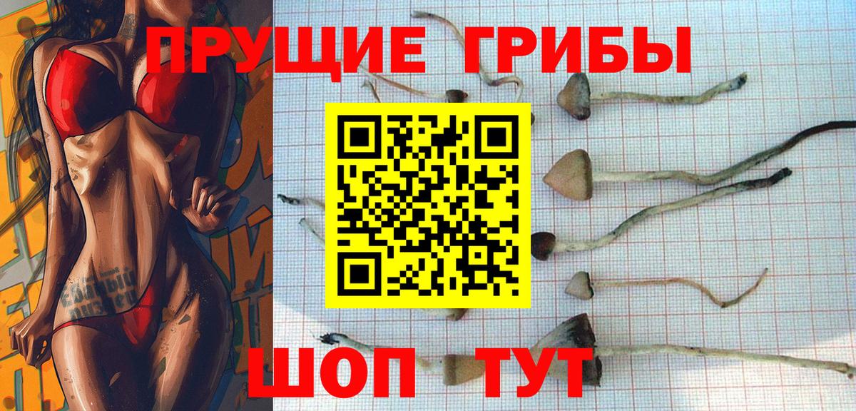 Псилоцибиновые грибы прущие грибы  Вход с VPN  Борзя 