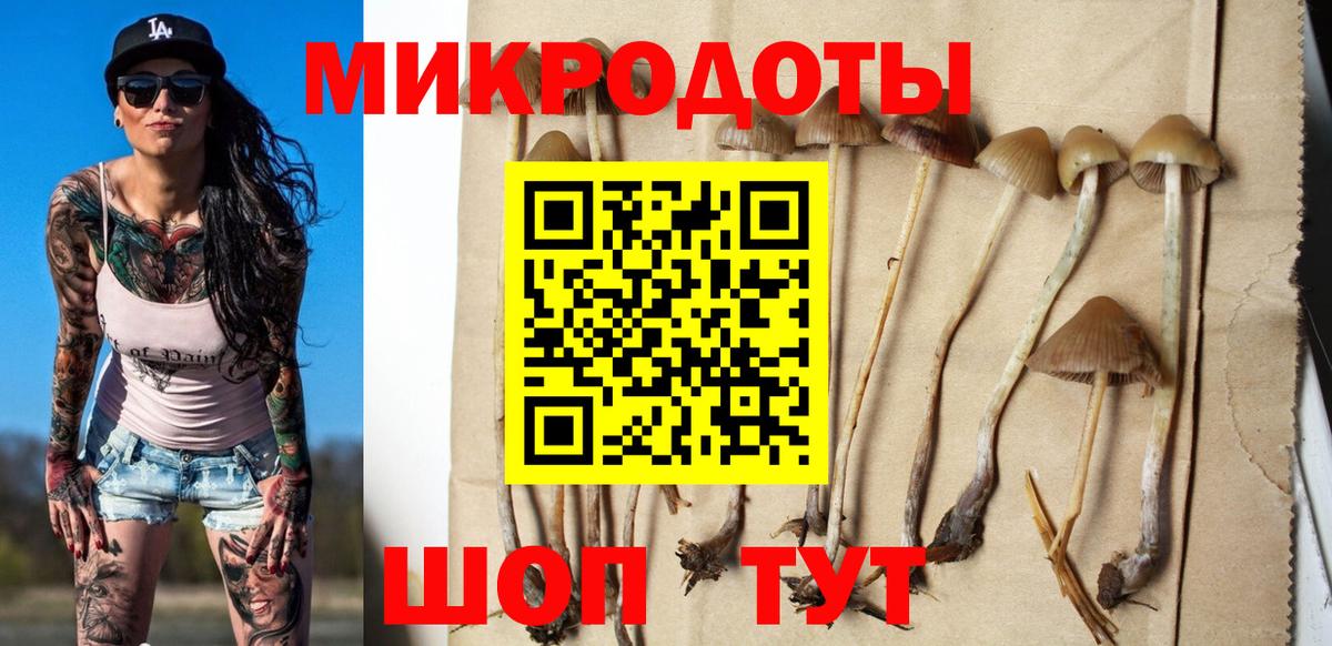Канабис  Борзя  КОКАИН  Меф кристаллы  Гашиш  Вход с VPN  MDMA  Купить наркотик  APVP СК   Конопля 