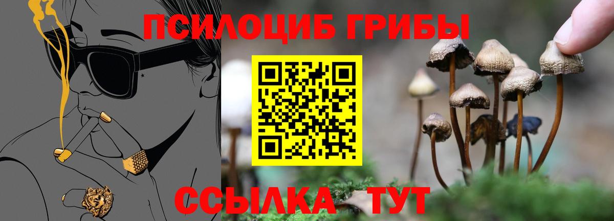 Псилоцибиновые грибы GOLDEN TEACHER Борзя