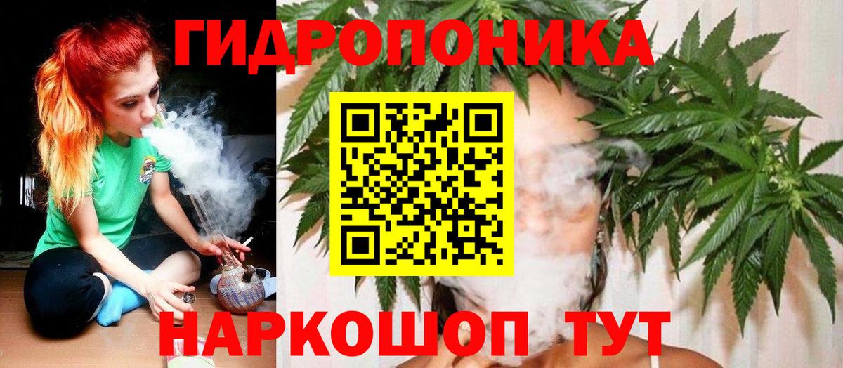 Конопля марихуана  МАРИХУАНА планчик  Борзя  Каннабис семена  Вход с VPN  Канабис гибрид 